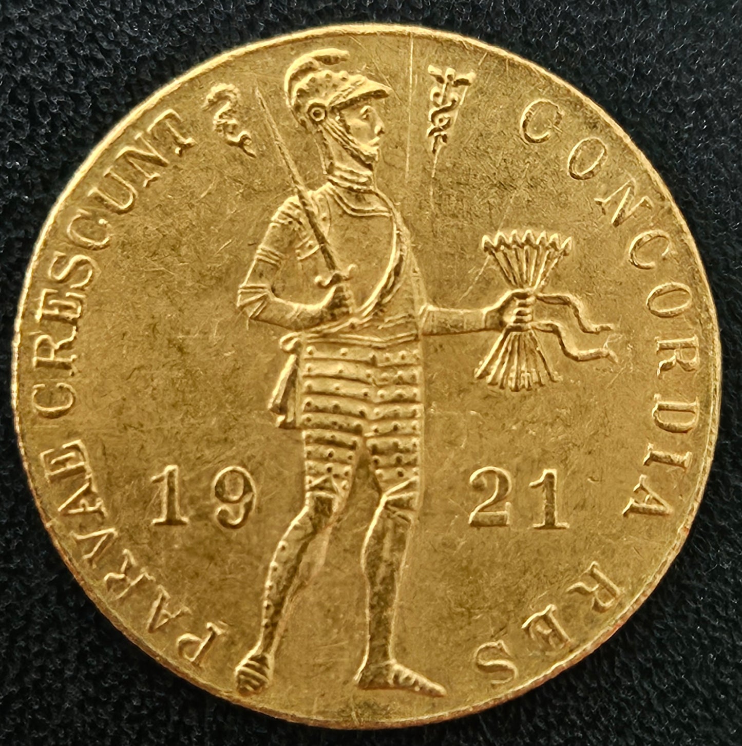 Dukat Niederlande Willem I 1921