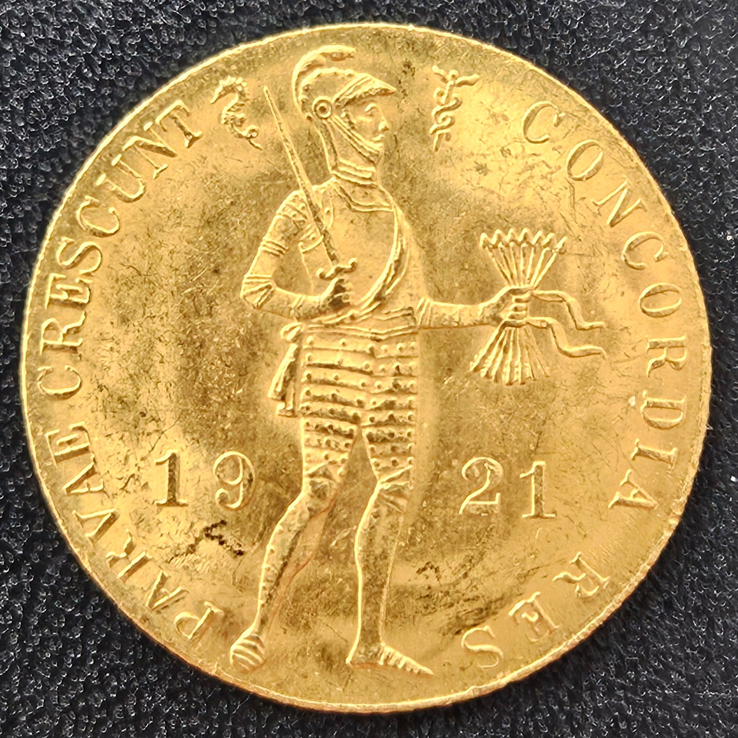 Dukat Niederlande Willem I 1921