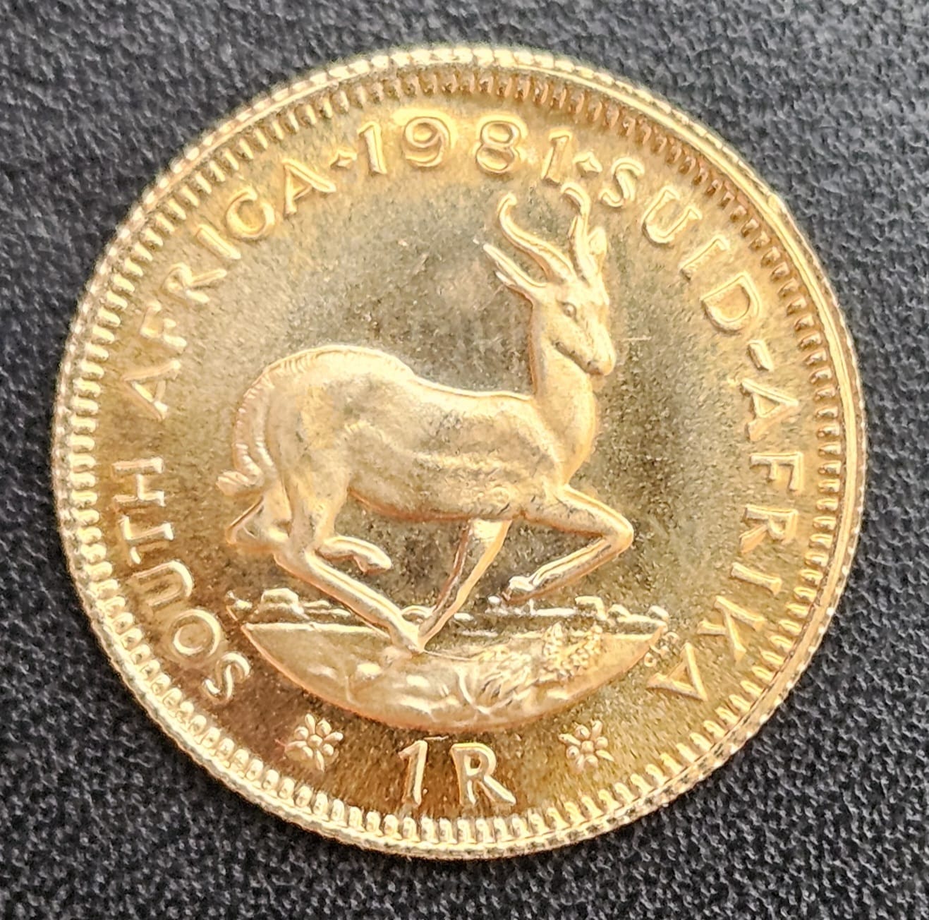 1 Rand 1981 Springbock Südafrika